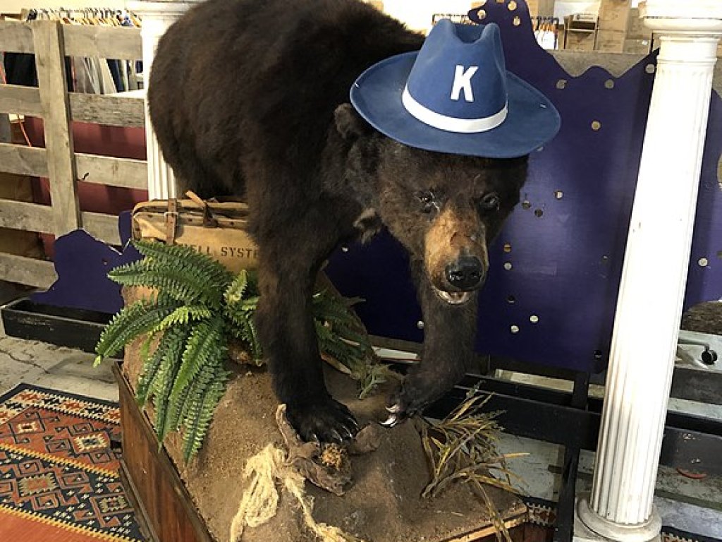 Cocaine_Bear,_Kentucky_for_Kentucky_Fun_Mall