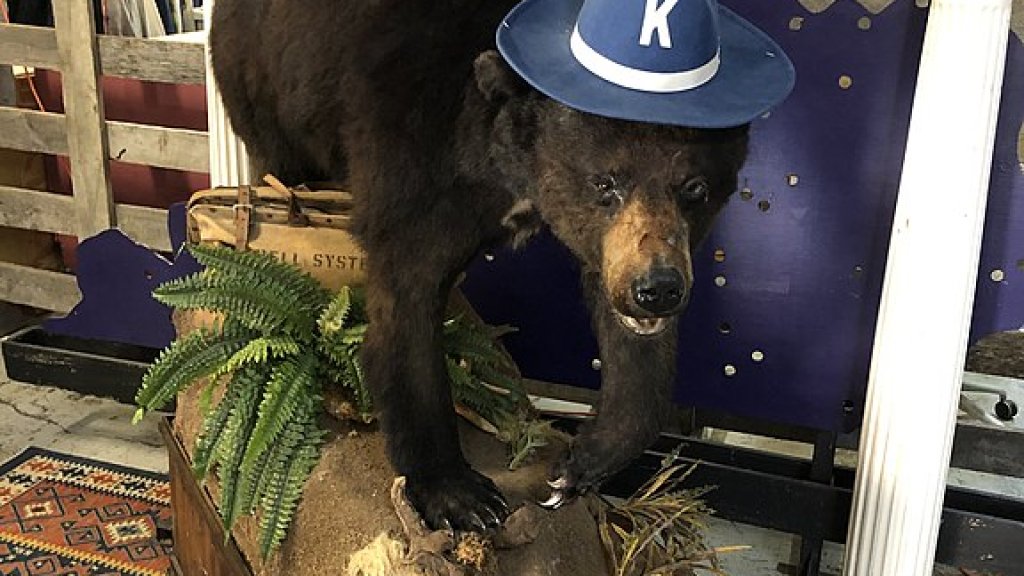 Cocaine_Bear,_Kentucky_for_Kentucky_Fun_Mall