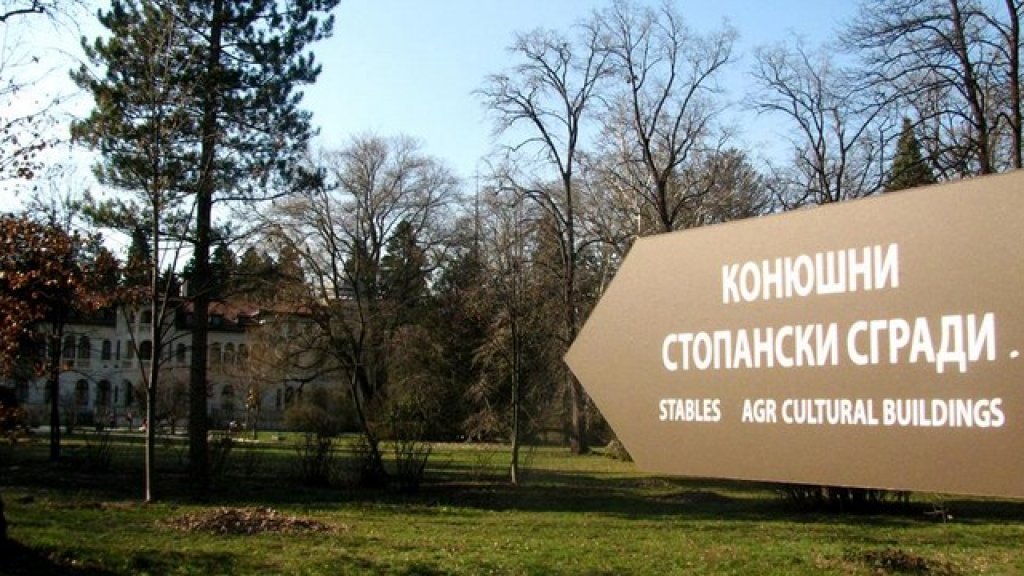 vrana
