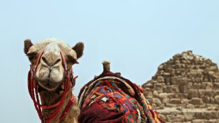 roxanne-desgagnes-qwbA2RcohIU-unsplash