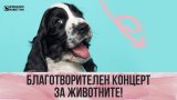 Зад микрофона ще застанат Валентин Велчев, Георги Янков, Деси Слава, Деси Добрева, Дивна, Ей Бо, EVA, Expose, Калки и Мартина, Роси Кирилова и Тони.