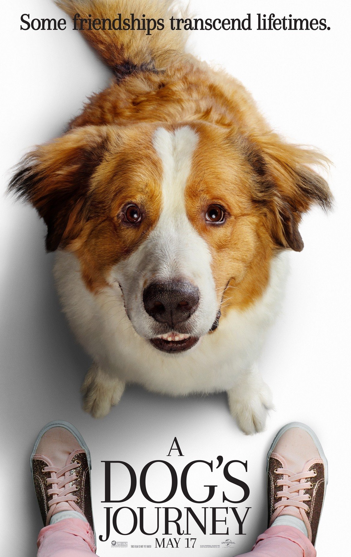 Кучешки живот 2 (A Dog`s Journey), 07 юни

Режисьорът Гейл Манкузо предлага чудесен семеен филм, в който главният герой е куче. Той намира смисъла на своя живот, срещайки различни хора. В главните роли ще видим Денис Куейд (на когото отива да участва в семейни филми), Мардж Хелгенбъргър ("От местопрестъплението: Лас Вегас"), Бети Гиплин и др.