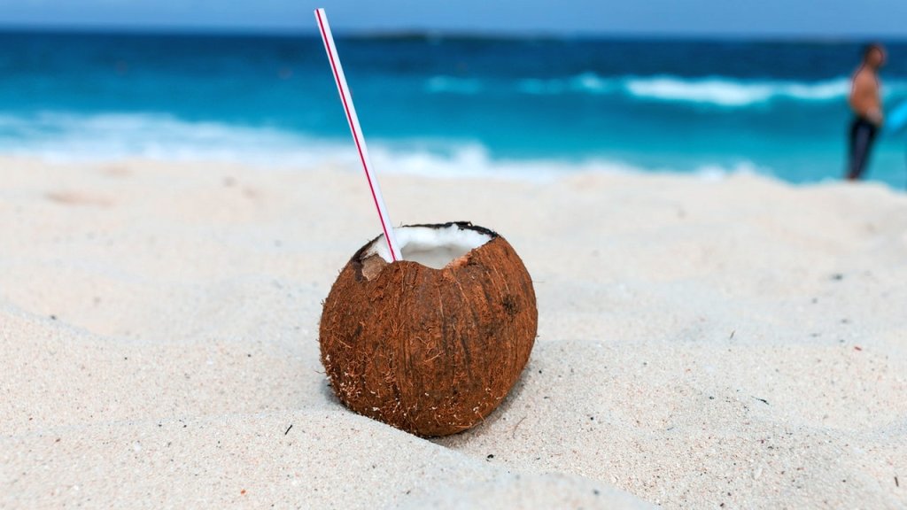 beach-blurred-background-close-up-1917838