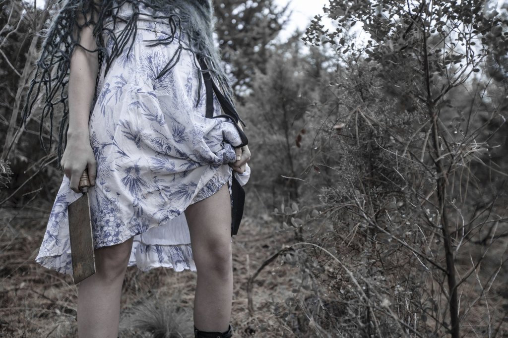 forest-2096088_1920