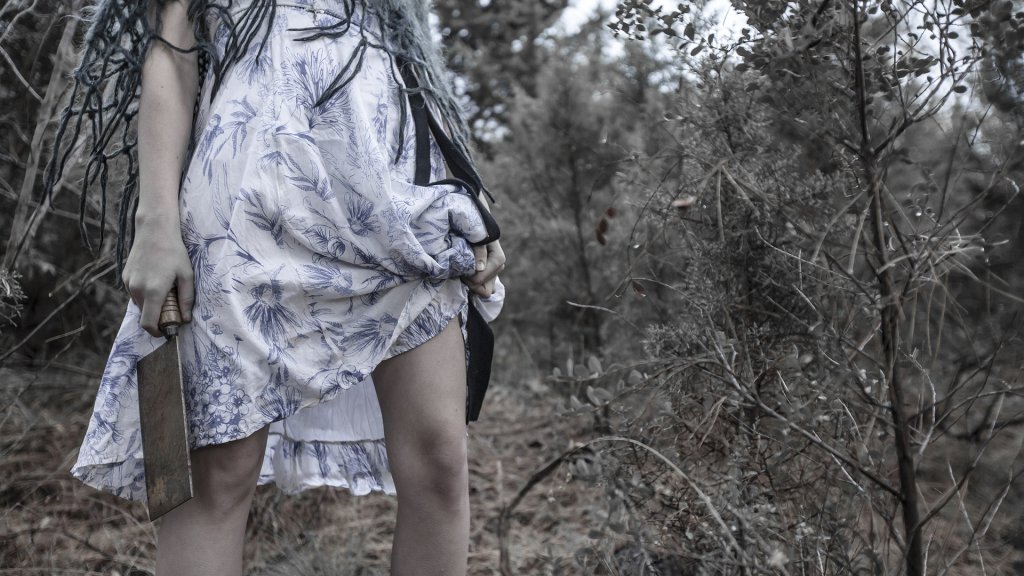 forest-2096088_1920