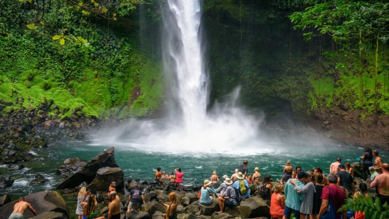 От страна с едни от най-високите темпове на обезлесяване, тя се връща след зелените първенци