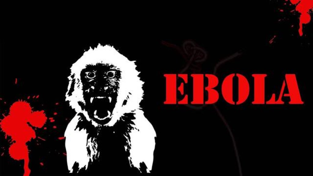 monkeys-ebola-1600x900-wallpaper-1629879