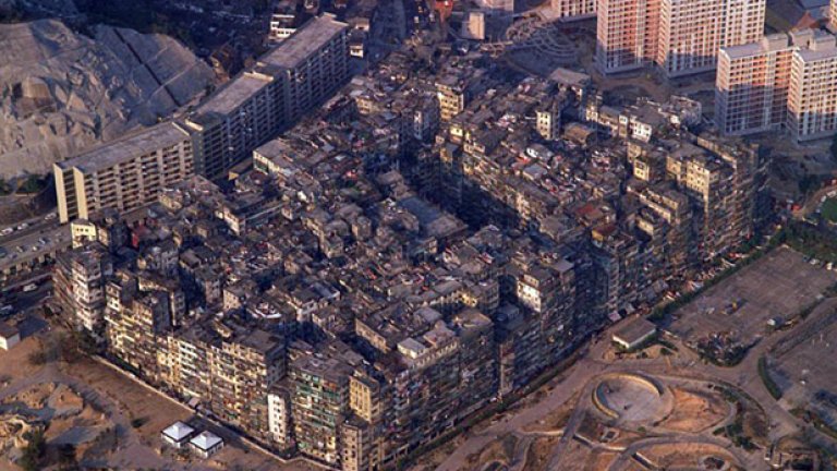 Птичи поглед