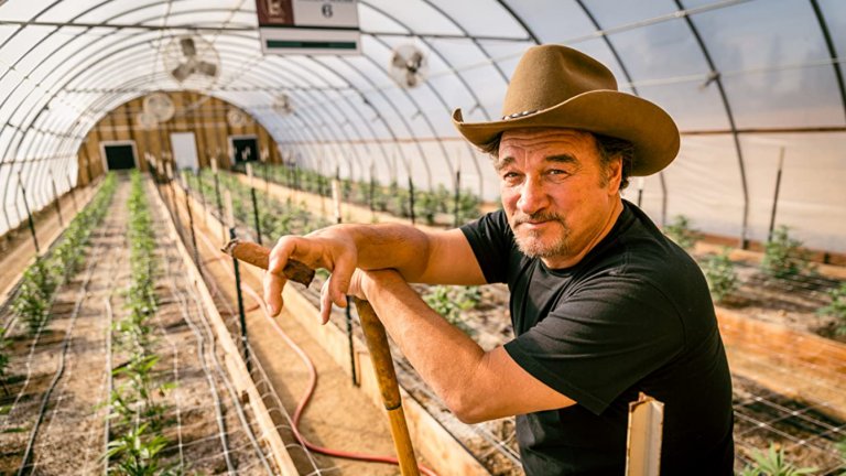 Как Джеймс Белуши направи ферма за марихуана, за да почете паметта на починалия си брат