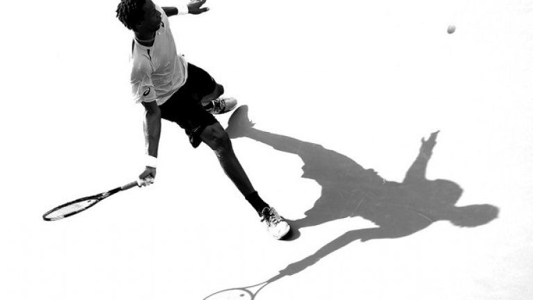 Лек и много бърз, той има повече структурата на спринтьор.