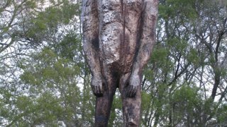 Yowie-statue-Kilcoy-Queensland