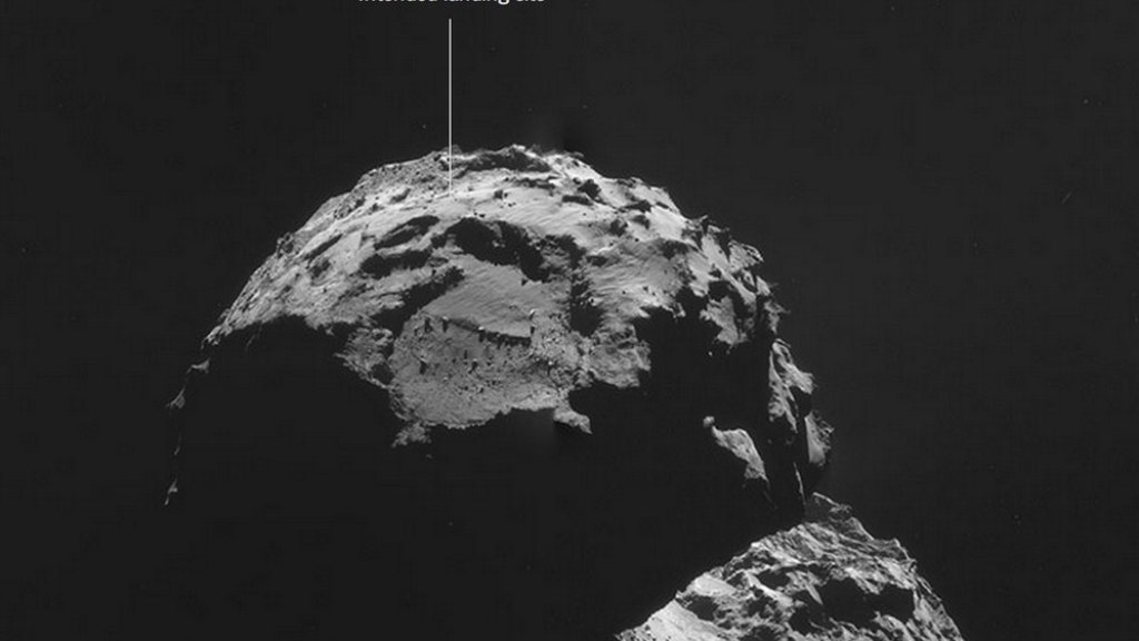 rosetta