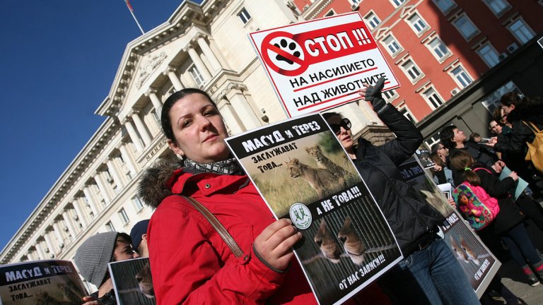 Министър Нено Димов дойде на протеста за лъвчетата Терез и Масуд