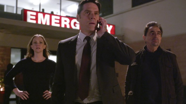 В сериала агент Арън Хочнър беше ръководителят на екипа на ФБР, разследващ най-ужасните и опасни серийни убийци.