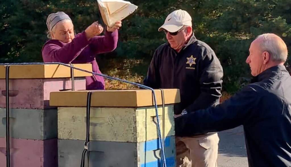 rorie-susan-woods-releasing-bees-768x589