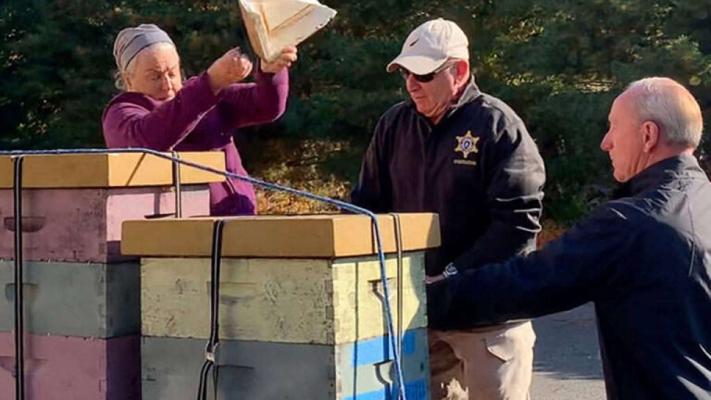 rorie-susan-woods-releasing-bees-768x589