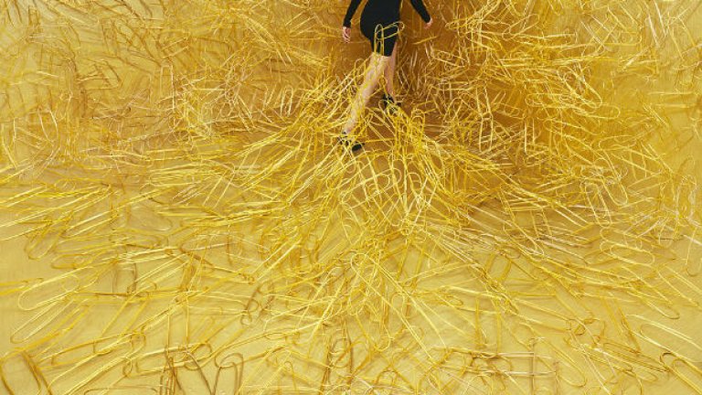 Приказки в стая