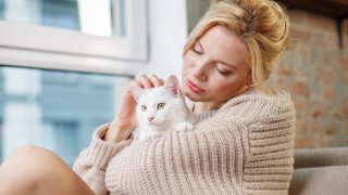 Или как да пощадите пердетата и тапетите от котешките нокти