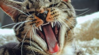 erik-jan-leusink-HrMD7MngiBE-unsplash