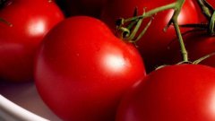 Земеделският министър Мирослав Найденов каза, че гръцките домати, заразени с молец, не били опасни за здравето...Обаче са опасни за оранжериите ни
