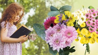 Flowers_Lidl
