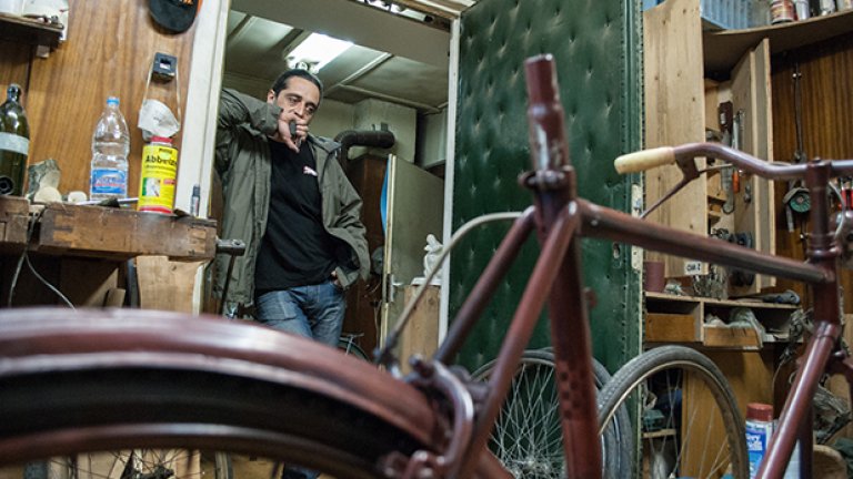 Дървото на живота