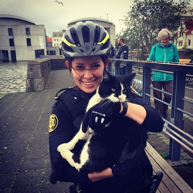Полицията в Рейкявик обича животните