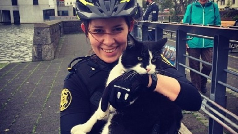 Полицията в Рейкявик обича животните