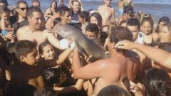 Това се случва по плажовете в Аржентина