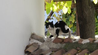 IMG_0430