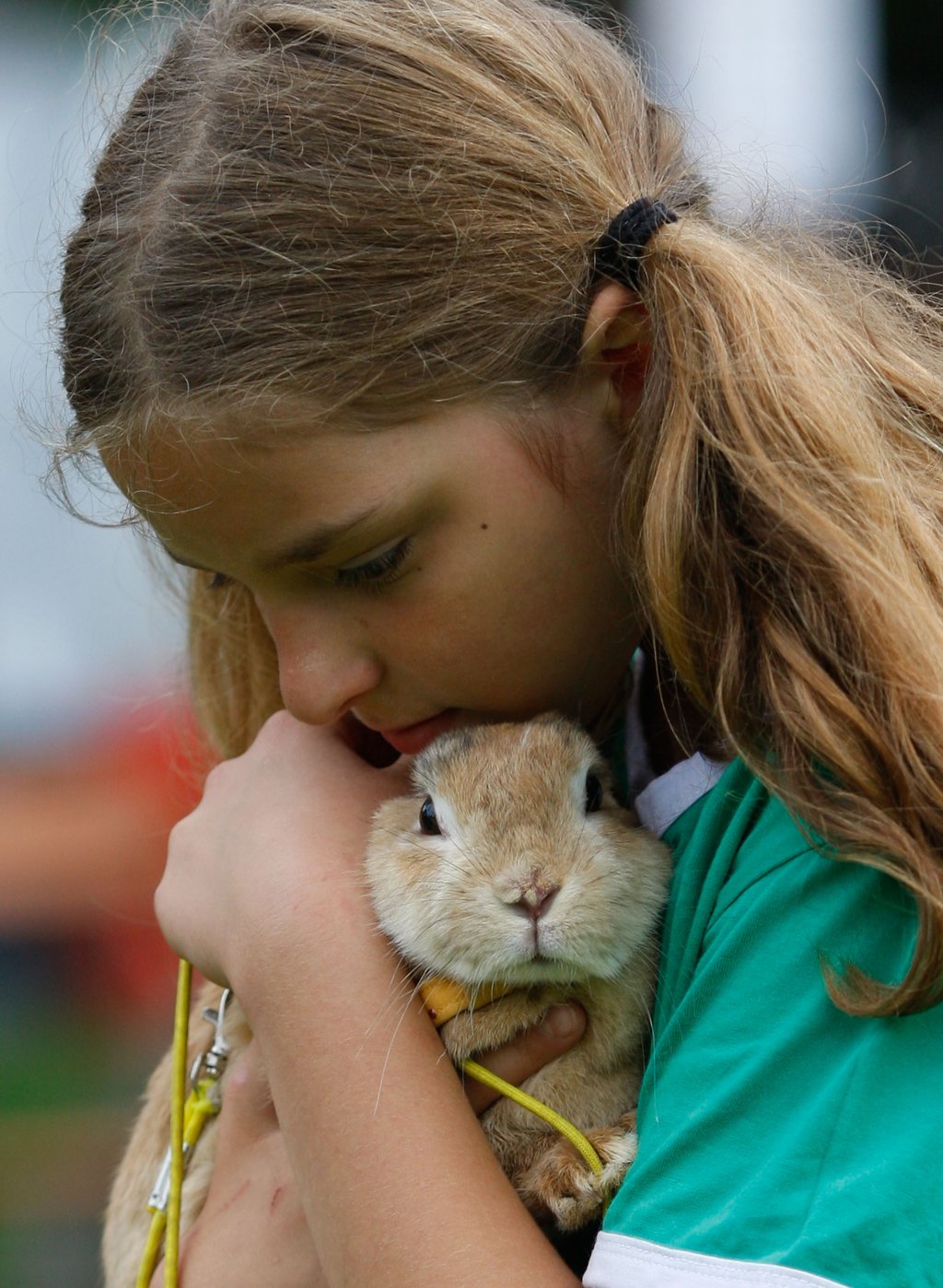 Rommerz Rabbit Hopping Competition
