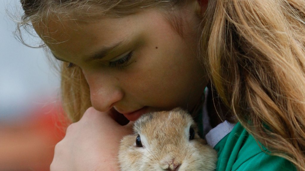 Rommerz Rabbit Hopping Competition