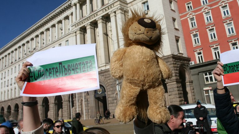 В момента държавните институции работят по казуса