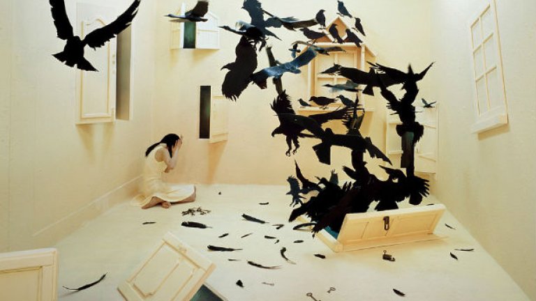 Приказки в стая