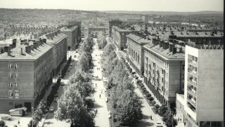 dimitrovgrad