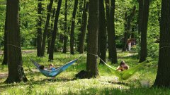 Европа се пържи, а в България се диша: Защо непоносимата жега сякаш ни подмина