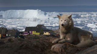 Обща декларация на Франция, Германия, Испания, Италия, Великобритания, Полша и Дания