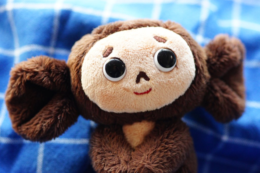 cheburashka