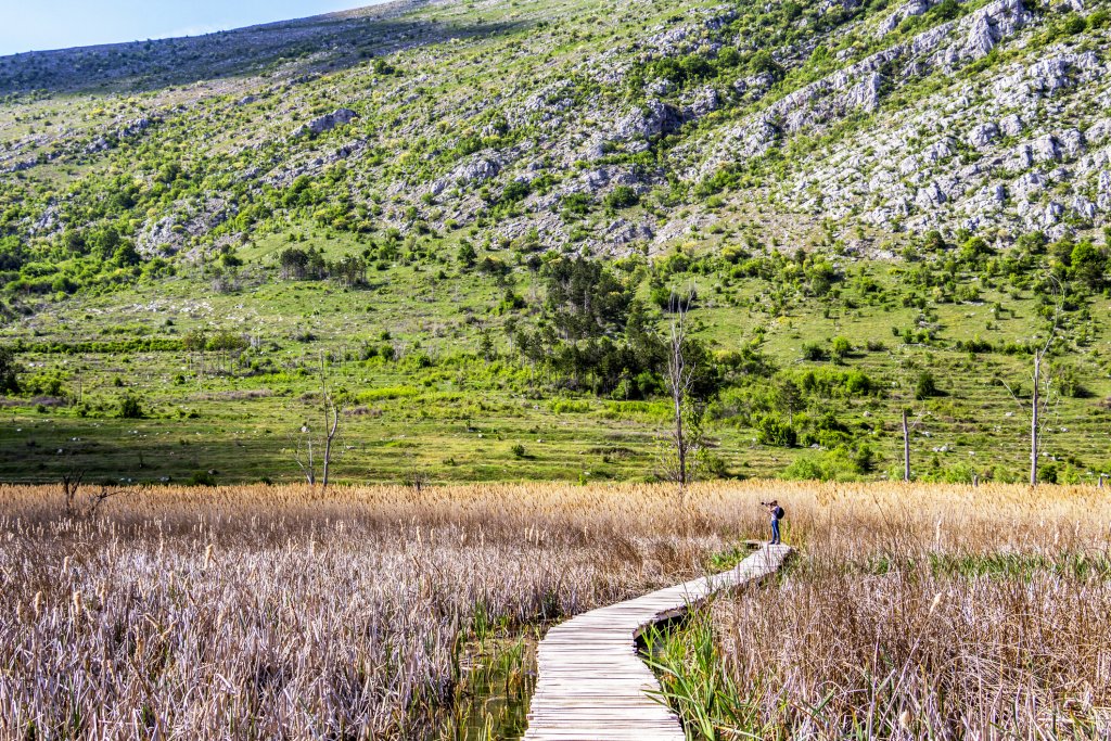 драгоманско блато