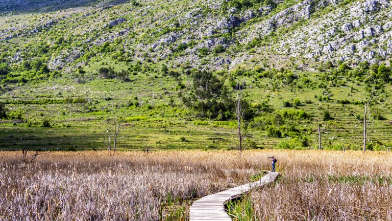 драгоманско блато