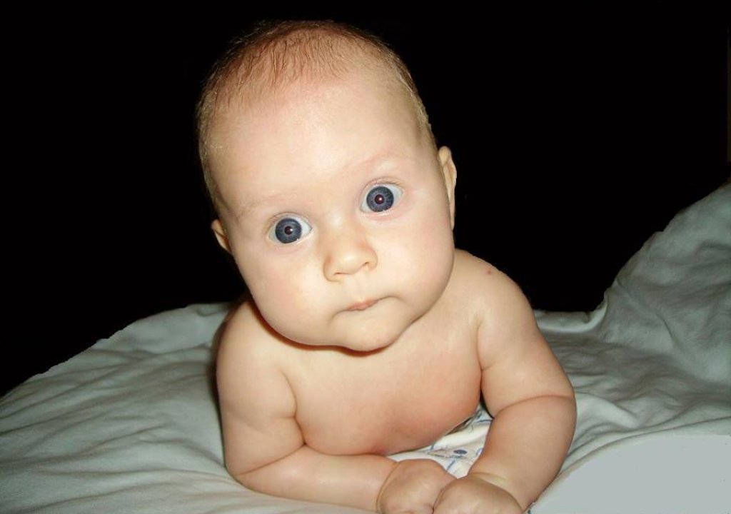 10805450_10202709606736225_1557349805_n