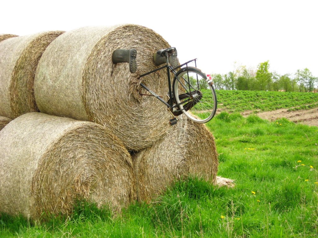 1280px-Cyklisci_dk_ubt