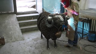 николета new