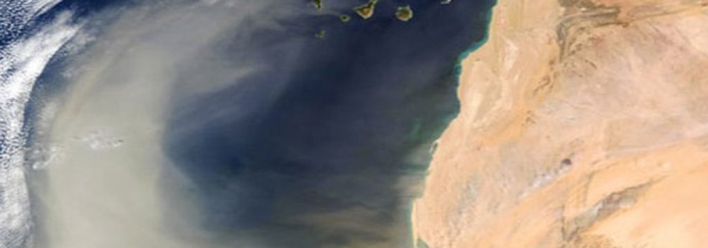 Sahara-Desert-Amazon-Rainforest