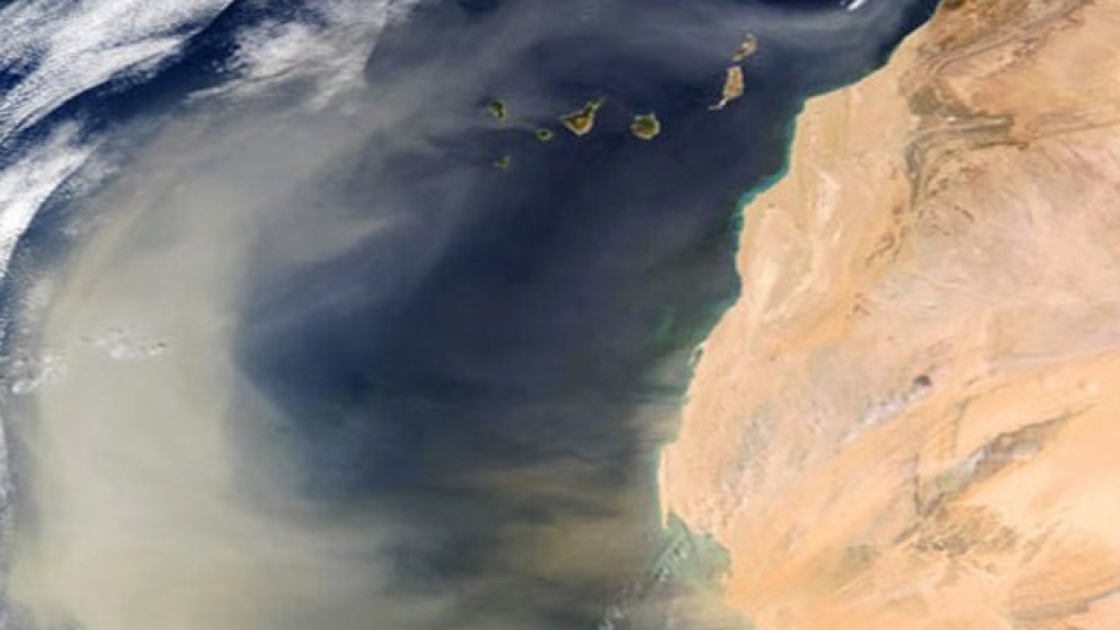 Sahara-Desert-Amazon-Rainforest