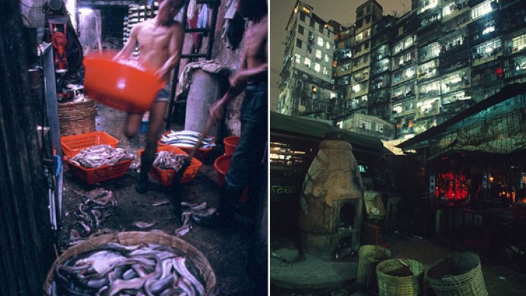 Всеки работи каквото може