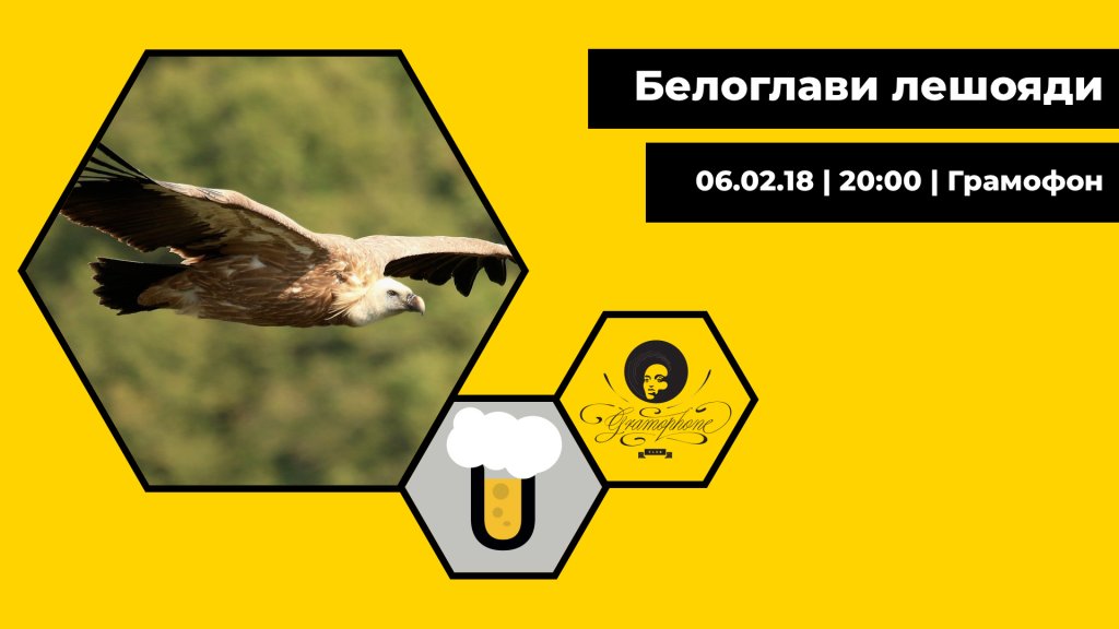 ratio, белоглави лешояди