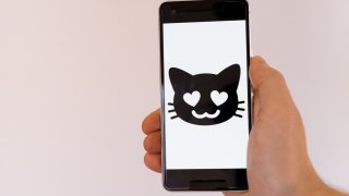 markus-winkler-1SMSvkziSOg-unsplash