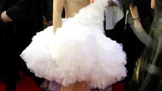 bjork, бьорк, рокля, лебед