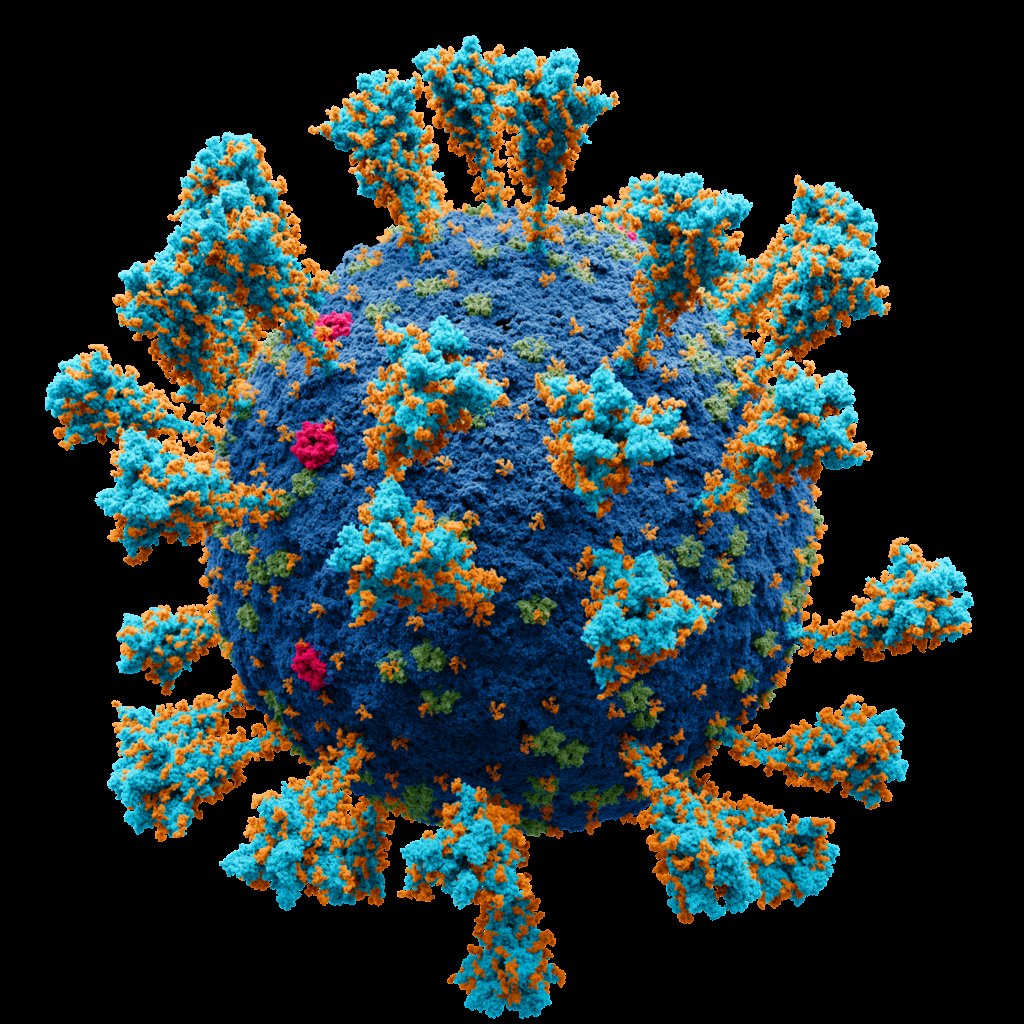 Coronavirus._SARS-CoV-2